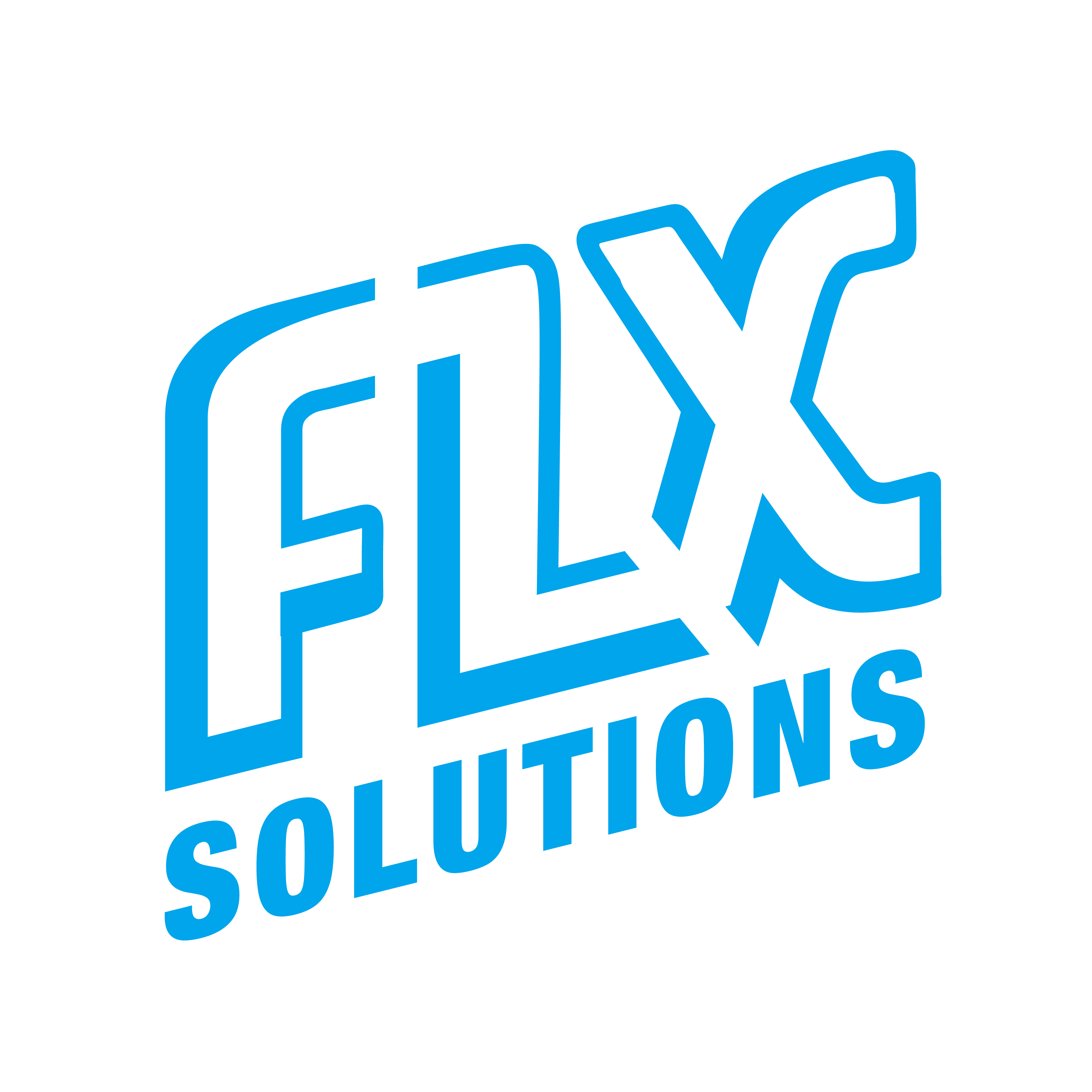 FLX Solutions, Inc.